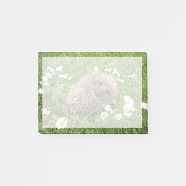 Cutest Baby djur | Spanska Hedgehog Post-it Block (Framsida)