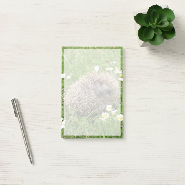 Cutest Baby djur | Spanska Hedgehog Post-it Block (Kontor)