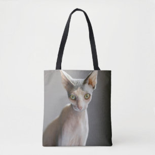 Cutest Baby djur Sphinx Cat Tygkasse