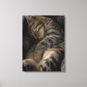 Cutest Baby djur Spipande Tabby katt Canvastryck