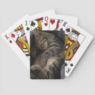 Cutest Baby djur Spipande Tabby katt Casinokort