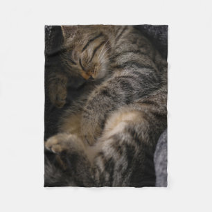 Cutest Baby djur   Spipande Tabby katt Fleecefilt