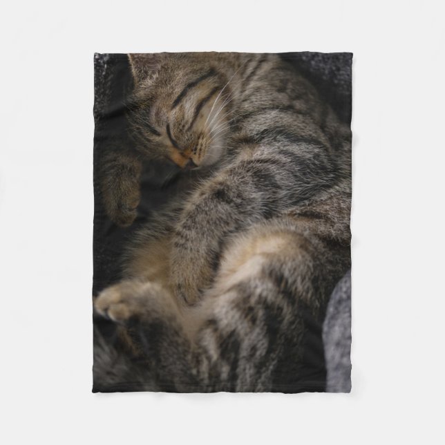 Cutest Baby djur | Spipande Tabby katt Fleecefilt (Framsidan)
