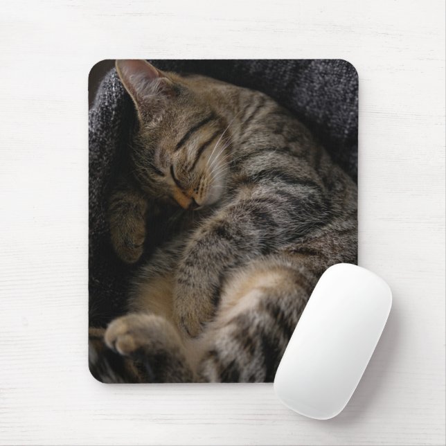 Cutest Baby djur | Spipande Tabby katt Musmatta (Med mus)