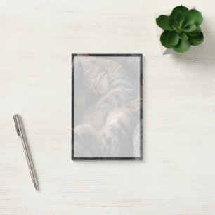 Cutest Baby djur Spipande Tabby katt Post-it Block