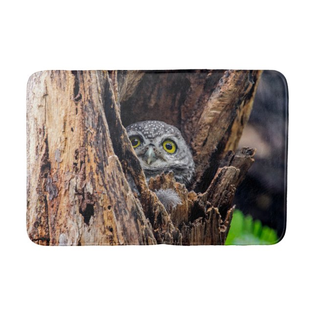 Cutest Baby djur | Spoted Owlet Badrumsmatta (Framsidan)