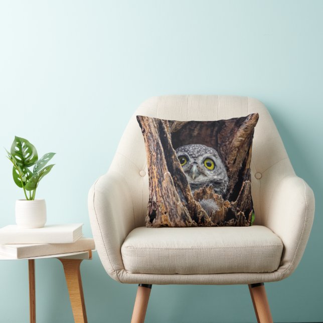 Cutest Baby djur | Spoted Owlet Kudde (Stol)