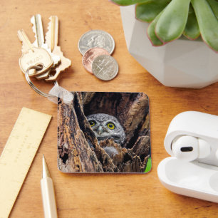 Cutest Baby djur Spoted Owlet Nyckelring