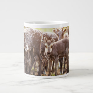 Cutest Baby djur Svalbard Reindeer Jumbo Mugg