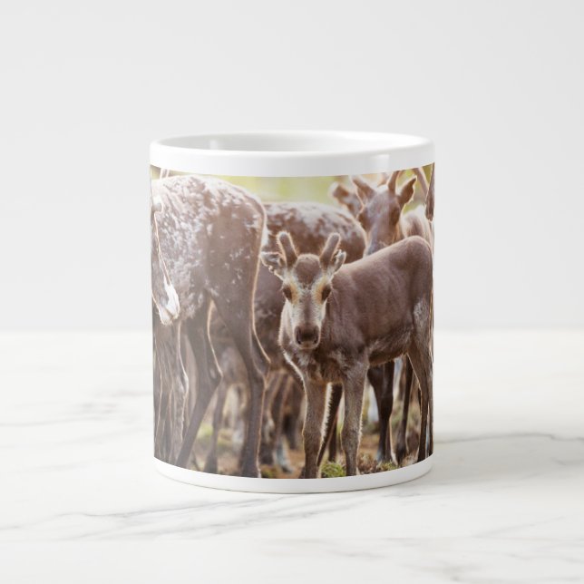Cutest Baby djur | Svalbard Reindeer Jumbo Mugg (Framsidan)