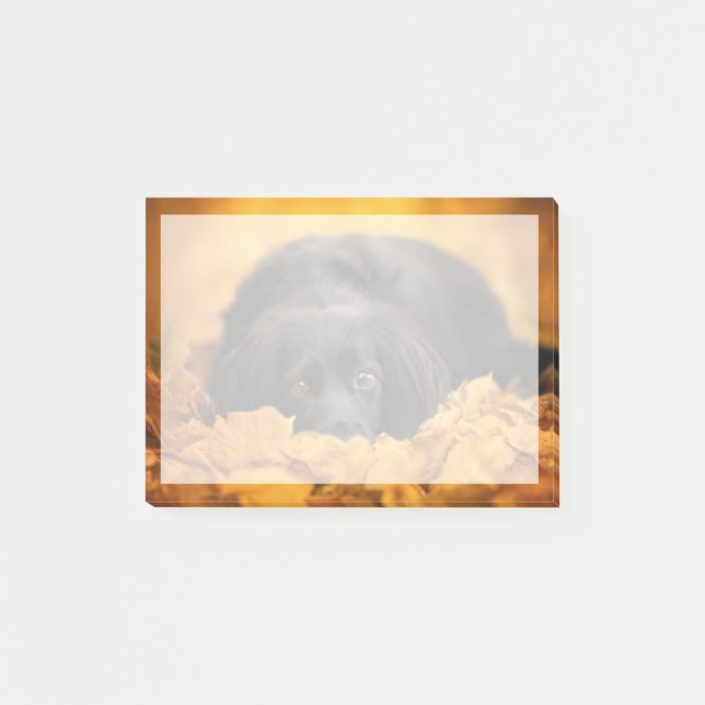 Cutest Baby djur | Svartspansk marionett Post-it Block (Framsida)