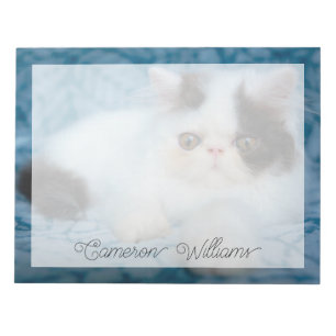 Cutest Baby djur Svartvit Kitten Anteckningsblock