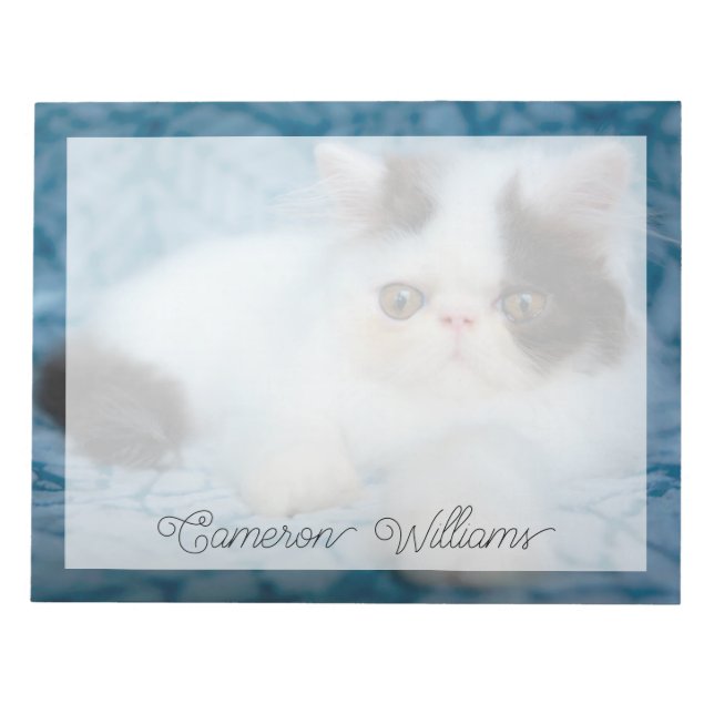 Cutest Baby djur | Svartvit Kitten Anteckningsblock (Framsida)