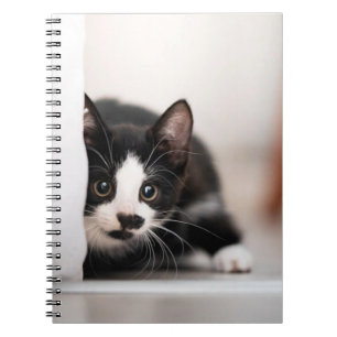 Cutest Baby djur Svartvit Kitten Anteckningsbok