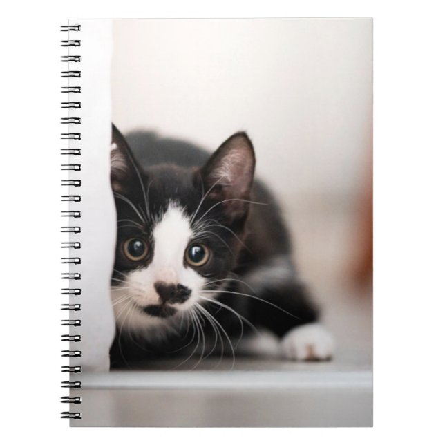 Cutest Baby djur | Svartvit Kitten Anteckningsbok (Framsidan)