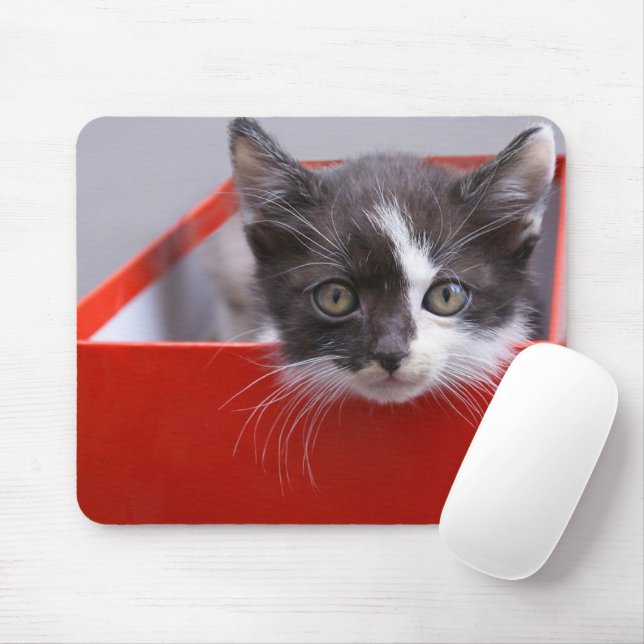Cutest Baby djur | Svartvit Kitten Musmatta (Med mus)
