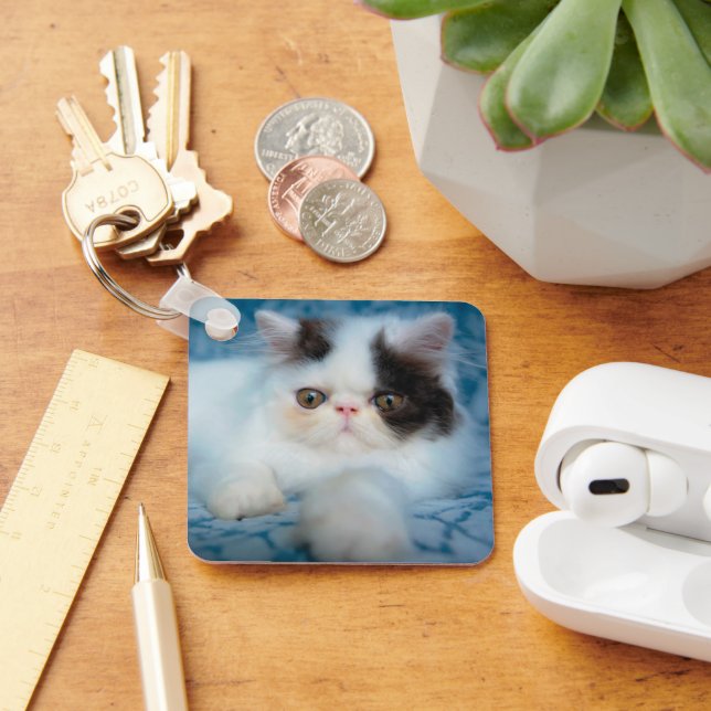 Cutest Baby djur | Svartvit Kitten Nyckelring (Skrivbord)