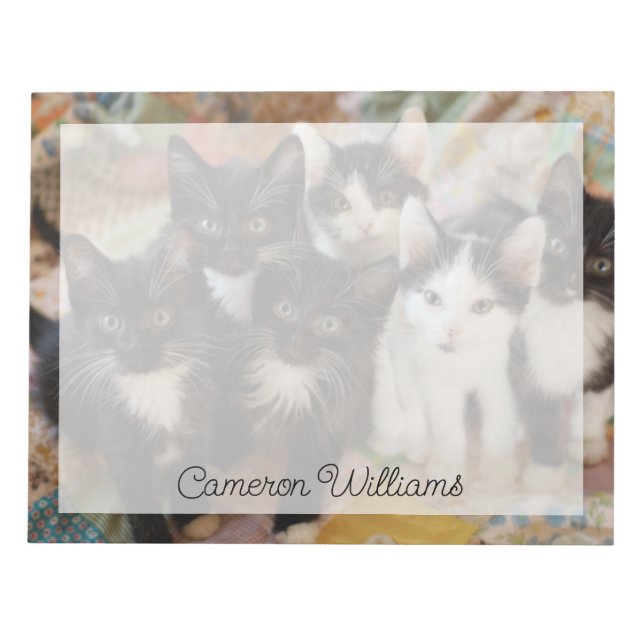 Cutest Baby djur | Svartvit kittens Anteckningsblock (Framsida)