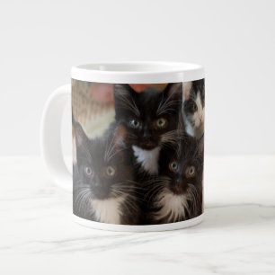 Cutest Baby djur   Svartvit kittens Jumbo Mugg