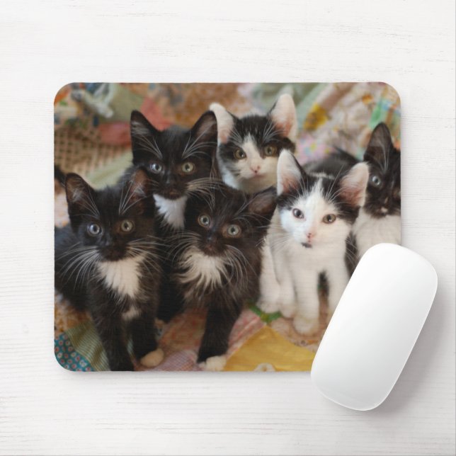 Cutest Baby djur | Svartvit kittens Musmatta (Med mus)