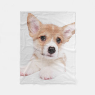 Cutest Baby djur Sweet Baby Corgi Fleecefilt