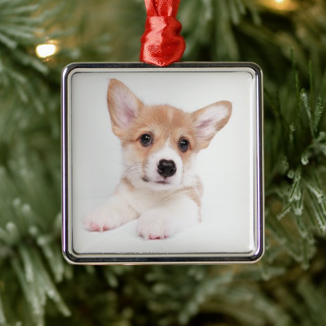 Cutest Baby djur | Sweet Baby Corgi Julgransprydnad Metall (Träd)