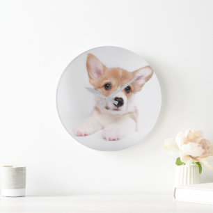 Cutest Baby djur Sweet Baby Corgi Stor Klocka