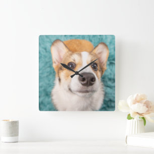 Cutest Baby djur Sweet Corgi Puppy Ansikte Fyrkantig Klocka