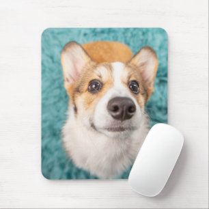 Cutest Baby djur Sweet Corgi Puppy Ansikte Musmatta