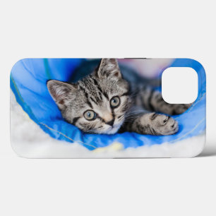 Cutest Baby djur Tabby Kitten i Play Tunnel
