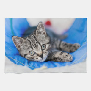 Cutest Baby djur Tabby Kitten i Play Tunnel Kökshandduk
