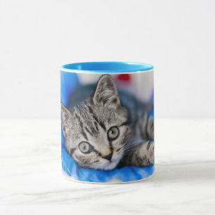 Cutest Baby djur Tabby Kitten i Play Tunnel Mugg