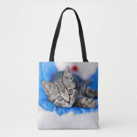 Cutest Baby djur | Tabby Kitten i Play Tunnel