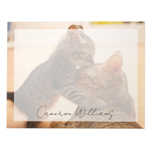 Cutest Baby djur | Tabby Kitten Kiss Anteckningsblock (Framsida)