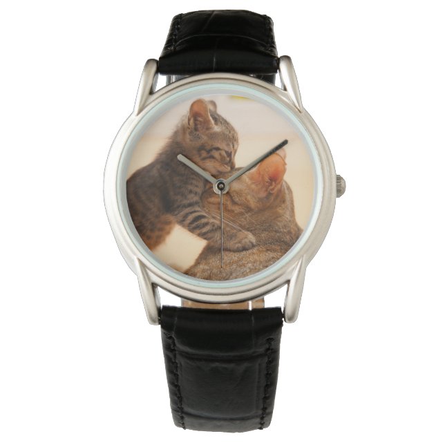 Cutest Baby djur | Tabby Kitten Kiss Armbandsur (Framsida)