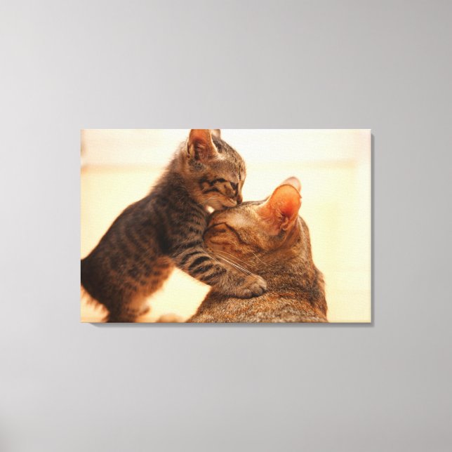 Cutest Baby djur | Tabby Kitten Kiss Canvastryck (Framsida)