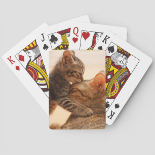 Cutest Baby djur Tabby Kitten Kiss Casinokort