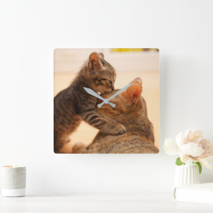 Cutest Baby djur Tabby Kitten Kiss Fyrkantig Klocka