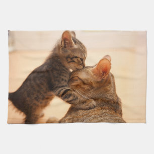 Cutest Baby djur Tabby Kitten Kiss Kökshandduk