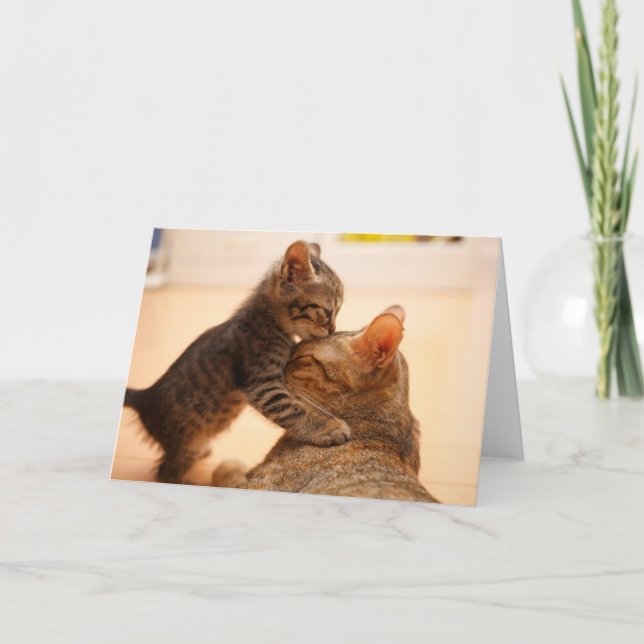 Cutest Baby djur | Tabby Kitten Kiss Kort (Framsida)
