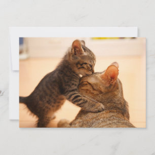Cutest Baby djur Tabby Kitten Kiss Tack Kort