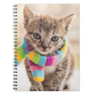 Cutest Baby djur Tabby Kitten Rainbow Scarf Anteckningsbok