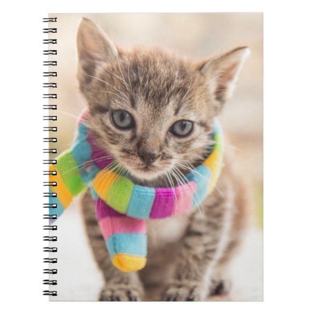 Cutest Baby djur | Tabby Kitten Rainbow Scarf Anteckningsbok (Framsidan)