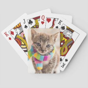 Cutest Baby djur Tabby Kitten Rainbow Scarf Casinokort