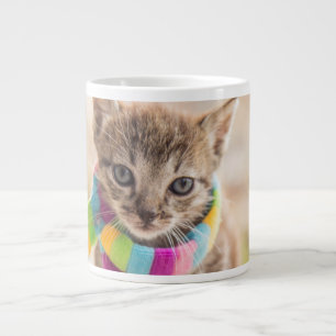 Cutest Baby djur Tabby Kitten Rainbow Scarf Jumbo Mugg