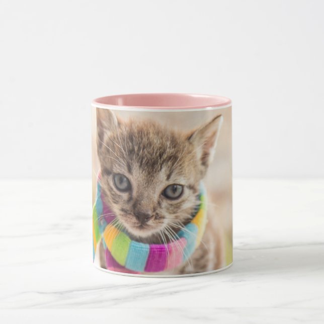 Cutest Baby djur | Tabby Kitten Rainbow Scarf Mugg (Center)