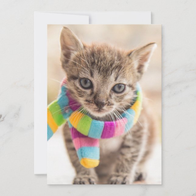 Cutest Baby djur | Tabby Kitten Rainbow Scarf Tack Kort (Framsida)