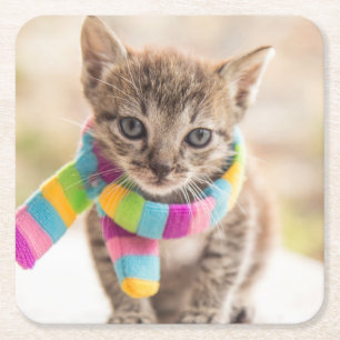 Cutest Baby djur Tabby Kitten Rainbow Scarf Underlägg Papper Kvadrat