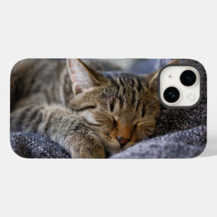 Cutest Baby djur   Tabby Kitten Sleeping