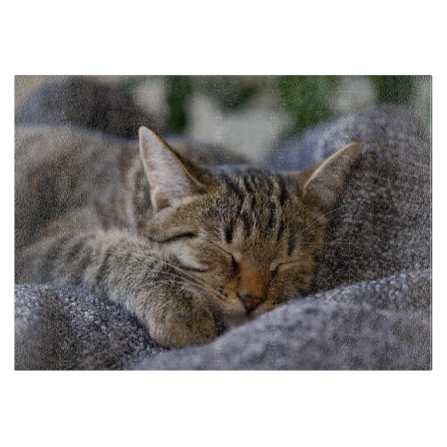Cutest Baby djur | Tabby Kitten Sleeping (Framsidan)